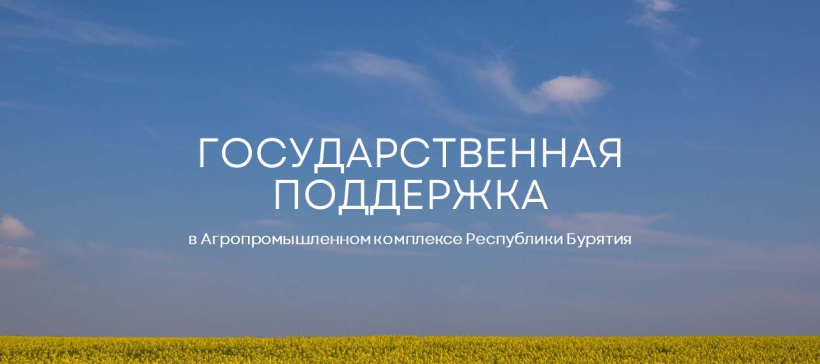 Баннер Господдержка